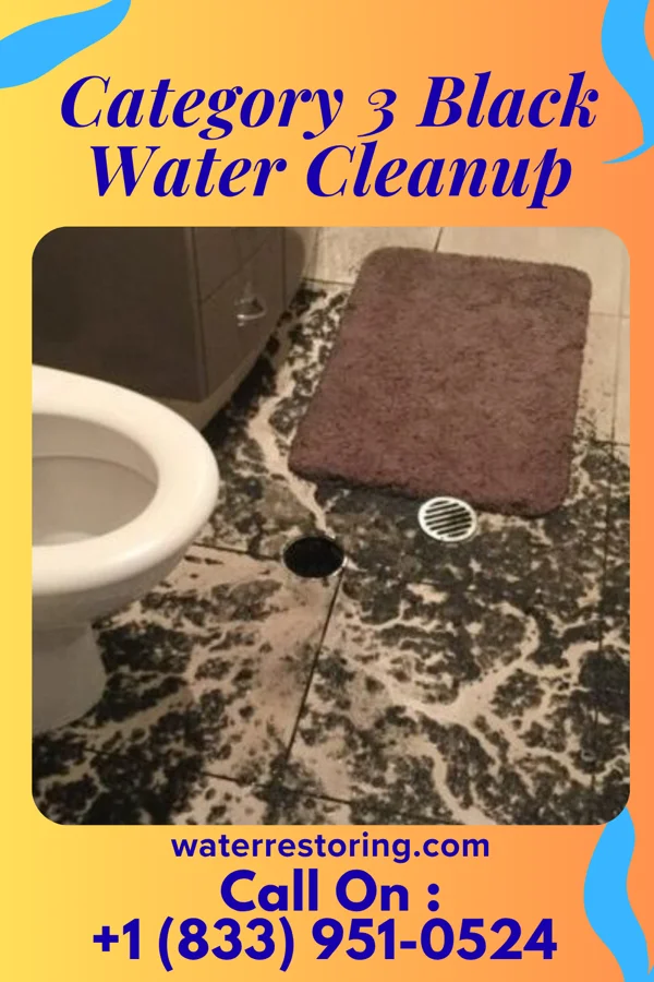 Category 3 Black Water Cleanup in Exeland, WI