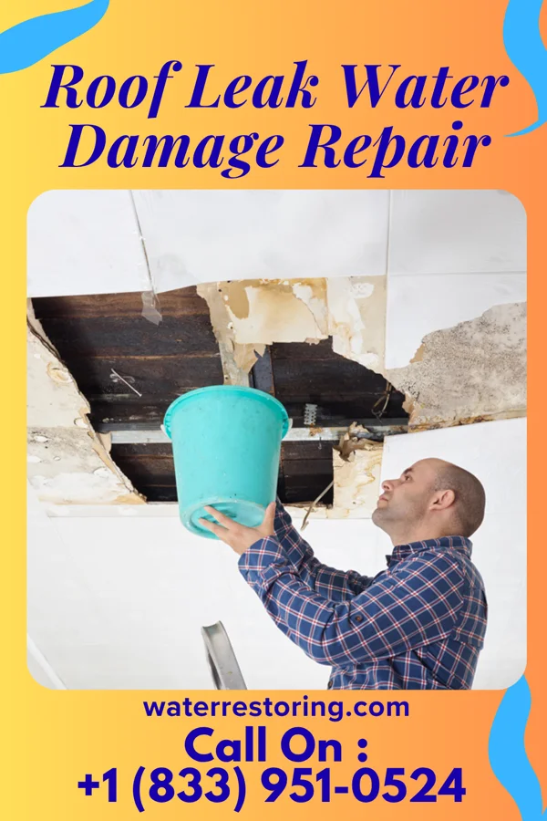 Roof Leak Water Damage Repair in Exeland, WI