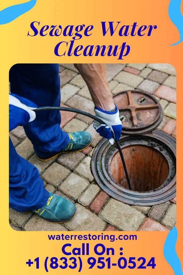 Sewage Water Cleanup in Exeland, WI